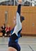 TOR_7977